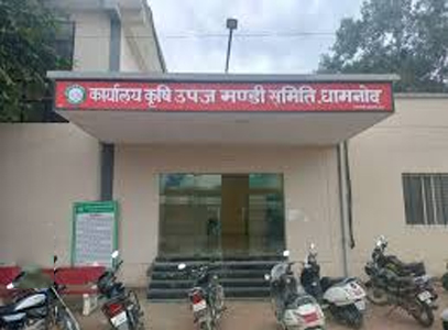 dhamnod mandi bhav